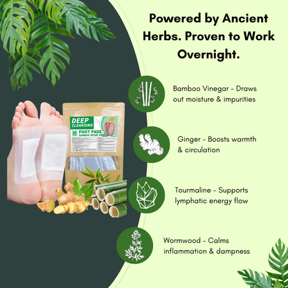 Bamboo Ginger Detox Foot Pads – Overnight Cleansing & Circulation Support